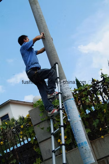 13 Step EN Cpmpliant Aluminum Single sided Telescopic Ladder