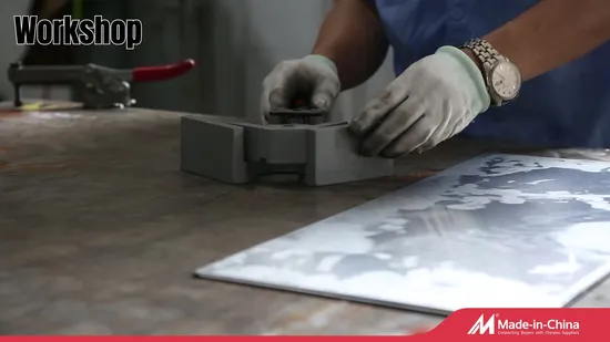 Aluminum/Aluminium/Steel Straight Ladder for Construction, Scaffold