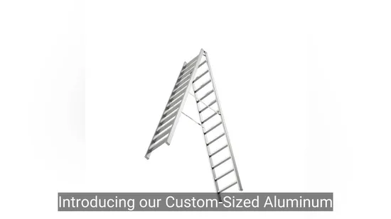 Premium Double Sided Folding Ladder for Industrial Use