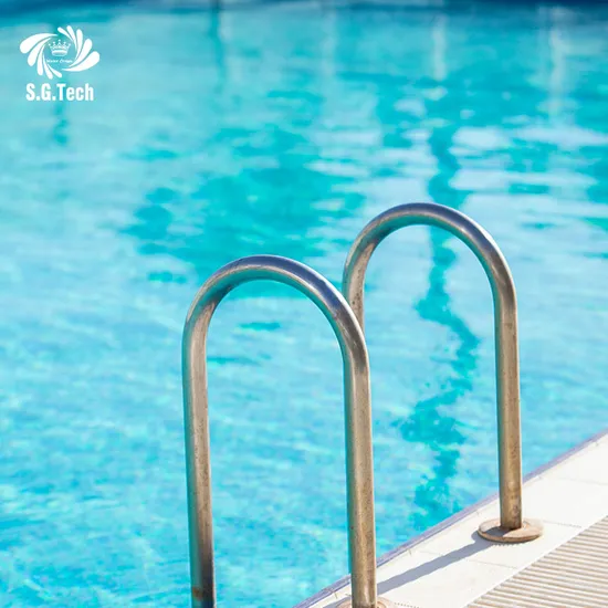 High Quality Swimming Pool Ladder with Handrail Non Slip Customized Steps Stainless Steel Pool Ladder 