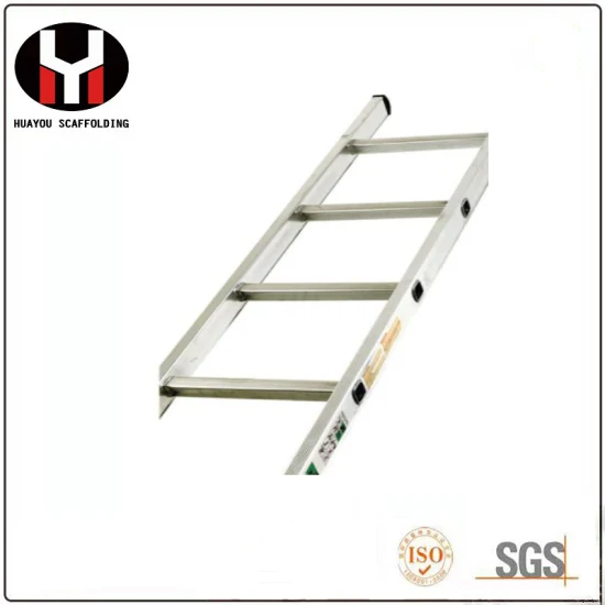 Aluminum Scaffolding Single Ladder/Multipurpose Aluminum Ladder/Step Straight Ladder with En Certificate