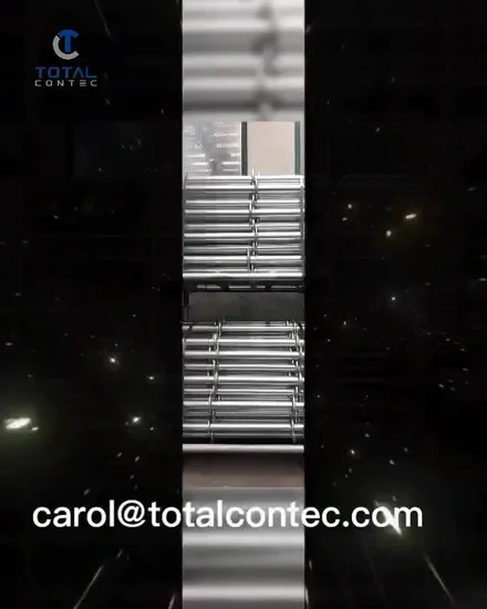 Galvanized System Scaffolding Straight Scaffold Ladder